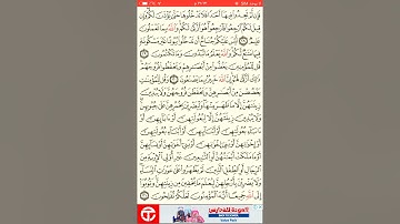 القارئ محمد حكمي