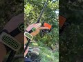 Рыбалка на реке. Ловим дикого карпа #fishing #carpfishing #рыбалка #карпфишинг  #рыбалканафидер