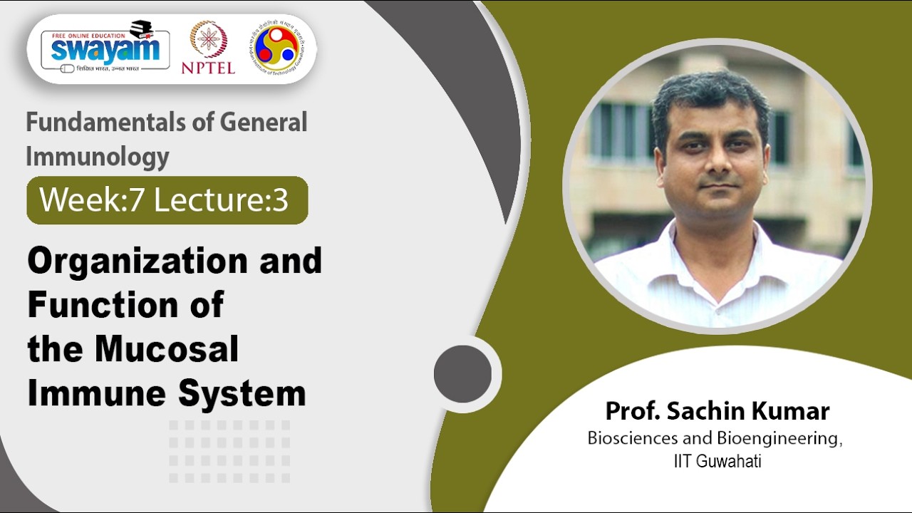 Lec 27: Organization and Function of the Mucosal Immune System