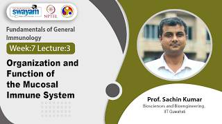 Lec 27: Organization and Function of the Mucosal Immune System