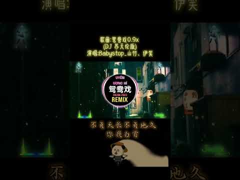 鴛鴦戲DJ版本 X0 9哎呦小情郎你莫愁此生只為你挽紅袖