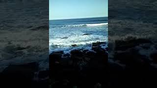 Ocean.Waves.Sounds. Video.