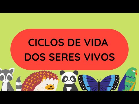 Vídeo: Qual é o ciclo de vida dos seres vivos?