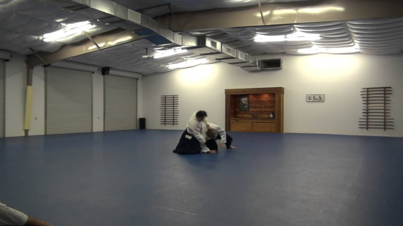 Aikido Sensei Michael Moreno Shomen uchi iriminage hanmi handachi (ai hanmi)
