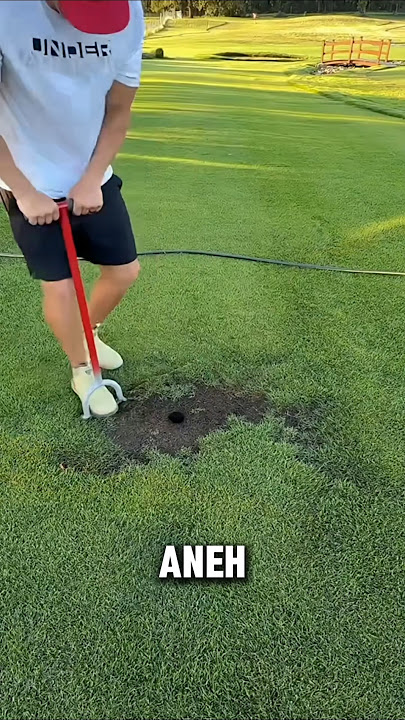 Ada yang Aneh dengan rumput!? #shortsvideo