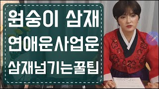 2022년삼재 원숭이띠(31세,43세,55세) 삼재 슬기롭게 넘어가는법