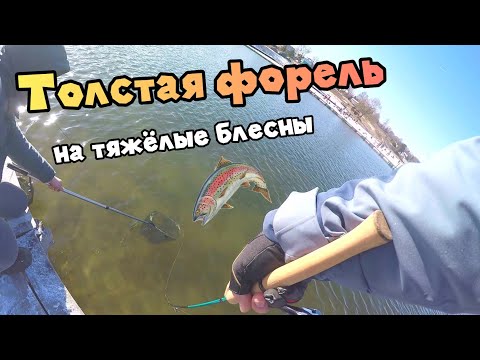 ФОРЕЛЬ НА СПИННИНГ В ФЕВРАЛЕ ловлю на FOREST PAL 3.8 [МУХОМОР edition]