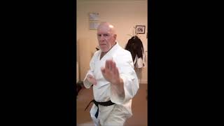 Celebrity Let's learn karate. Back stance & knife hand block - Shuto Uke for Shotokan beginners Net Worth