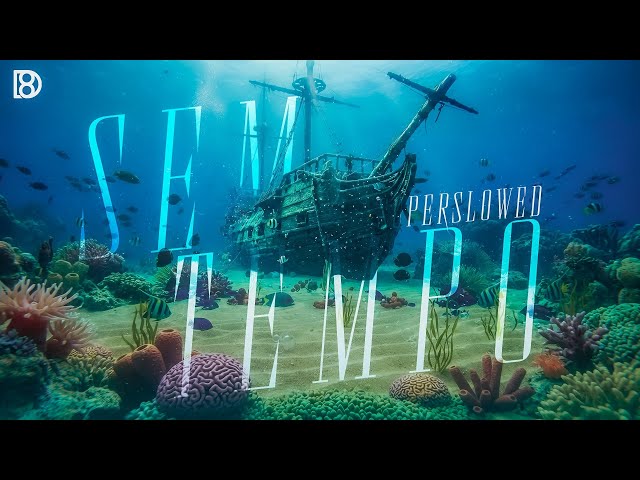 Sem Tempo (Super Slowed) - SCARIONIX | BASS BOOSTED | 8D Audio | Use Headphones 🎧