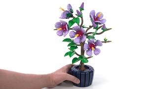 Download Lagu LEGO Botanicals Hibiscus review! Interessante keuzes, maar een stap terug in prijs. #NietGesponso... MP3 Download Lagu LEGO Botanicals Hibiscus review! Interessante keuzes, maar een stap terug in prijs. #NietGesponso... MP3