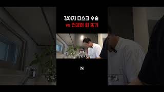 강아지 디스크 수술 vs 전갱이 회 뜨기