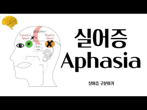 신경계사정 Aphasia (실어증) 시원하게 정리