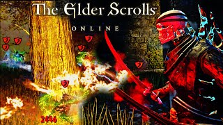 Elder Scrolls Online PvP 2024 | Necromancer