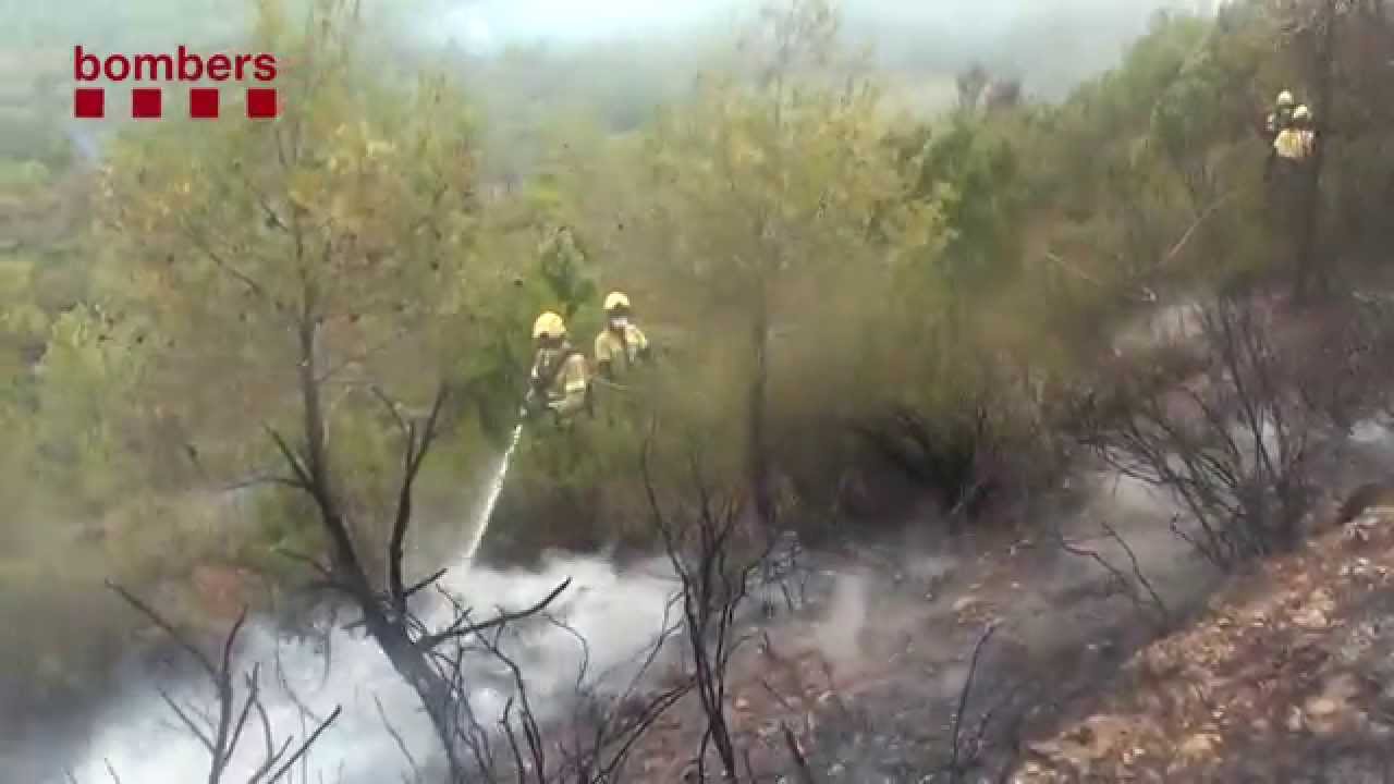 Incendi forestal Òdena  (Anoia)
