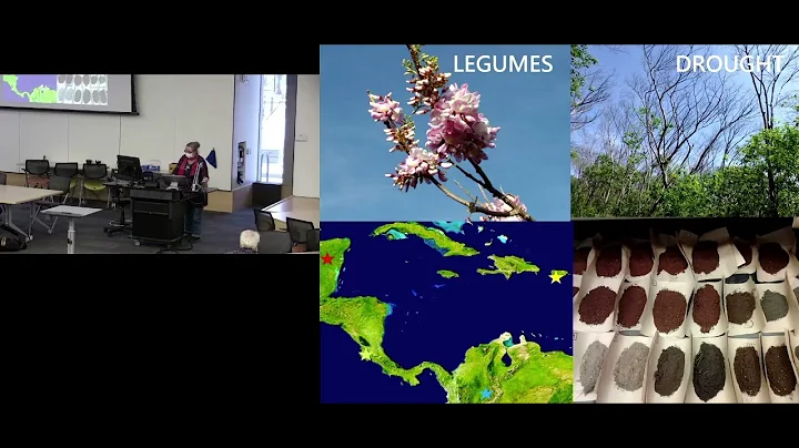 UM EEB Virtual Seminar: Jennifer Powers, University of Minnesota