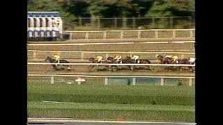 1982 Beldame Handicap - Weber City Miss