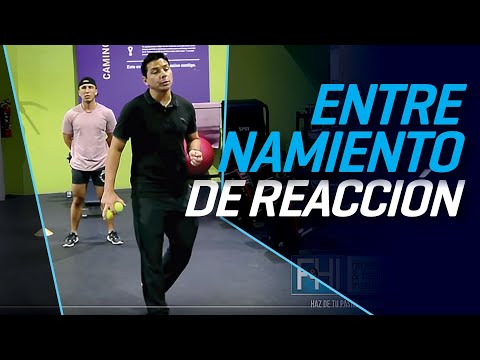 Video: Cómo Entrenar Tu Reacción