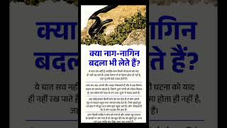 क्या नाग-नागिन बदला लेते हैं?🐍 Do Cobras Really Take Revenge? The Shocking Truth Revealed!