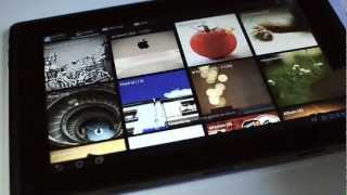 portfolio for android screenshot 5