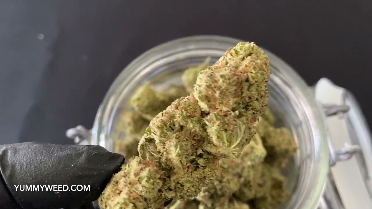 Cristal Snow HHC - Yummywwed