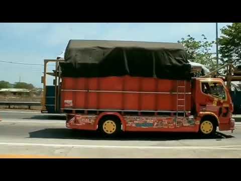 Pesona truk cabe YouTube 