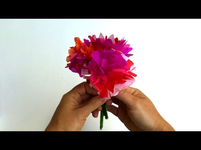 How to Make Mexican Paper Flowers 