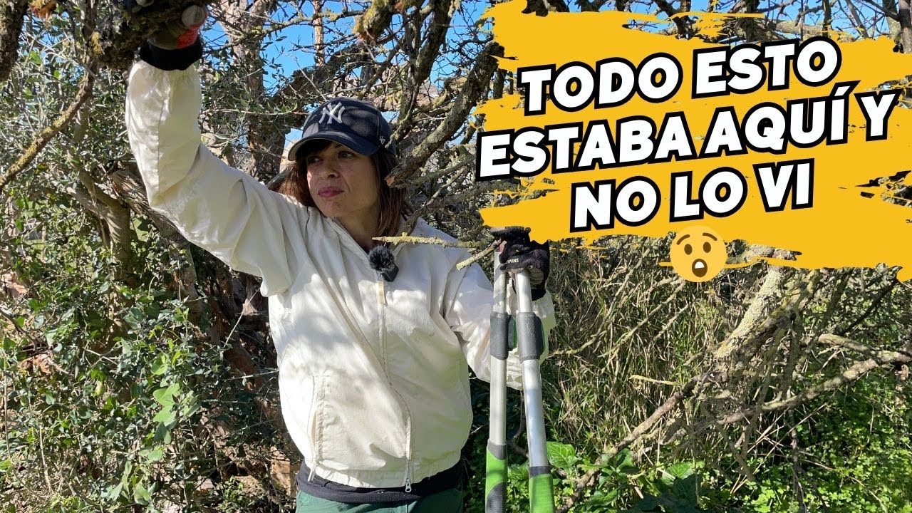 😯 Me SORPRENDO con lo que encuentro al podar los ciruelos de mi finca abandonada! Vlog74