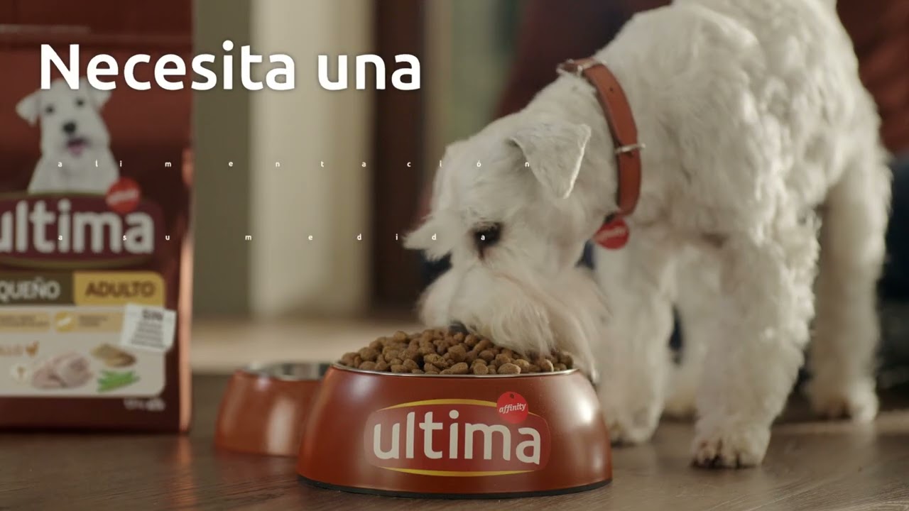 Ultima Pequeño  La receta adaptada para perros pequeños 