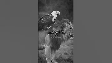 اص ولا اسمع نفس ترجمة ریمیکس Remix Translation 