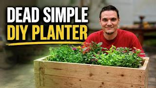 Dead Simple DIY Planter for My Dog