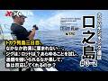 トカラ列島ジギング遠征2025 day3-2