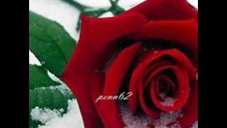 Bette Midler - The Rose