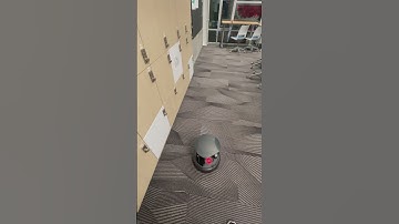 Perception and Reactive Navigation: Obstacle Avoidance