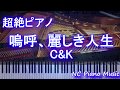 【超絶ピアノ】嗚呼、麗しき人生 / C&amp;K【フル full】