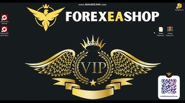 Golden Pickaxe EA - How to video setup - ForexEAshop