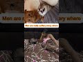 Men are suffering every were even in animal kingdom #funny #comedy #shorts