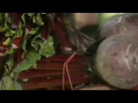 Как выбрать свеклу в магазине! Важные советы!