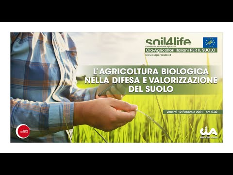 Video: L'impatto Dell'agricoltura Convenzionale E Biologica Sulla Conservazione Della Biodiversità Del Suolo: Un Caso Di Studio Sulle Termiti Negli Studi A Lungo Termine Sul Con