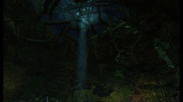 Skyrim Heavily Modded 2.0 ( A player home Mod spotlight: Tiny Tree Home Bare bones Edition)