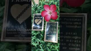 Sabun Prima Sumber Madu Asli Merapatkan Ms V Kembali Menjadi Perawan Kembali Bikin Suami Ketagihan