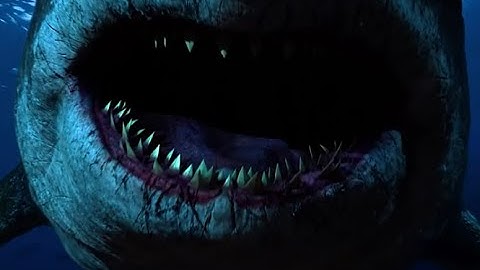 Cá voi Leviathan và Cá mập Megalodon: Ai mạnh hơn? #thaukinhcuocsong #amazingfacts #cavoi #camap