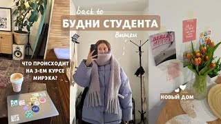 Неделя из жизни студента ВШЭ | сдаю долги и обустраиваю квартиру | ментор | разочарования в учебе