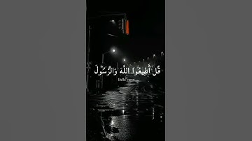 قُلْ إِن كُنتُمْ تُحِبُّونَ الله فَأتبعونِي|القارئ اسلام صبحي