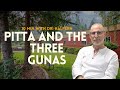 Pitta and The Three Gunas | 10 Minutes with Dr. Marc Halpern
