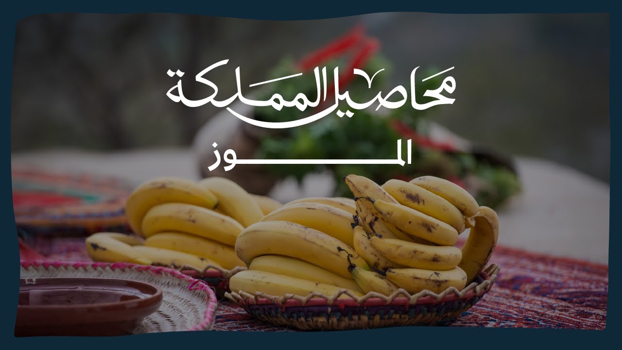 برنامج محاصيل المملكة | الموز