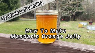 Mandarin Orange Jelly 52 Weeks Of Canning