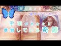 宇宙があなたに準備している奇跡🐉高次元メッセージ🌹個人鑑定級💙