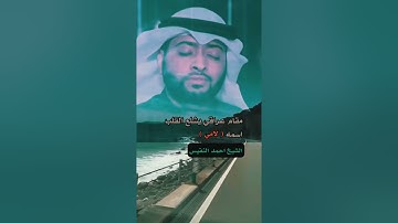 تلاوة بمقام اللامي العراقي