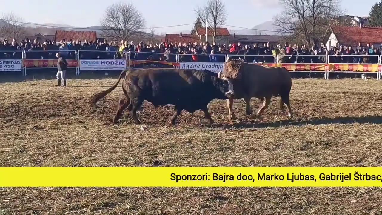 Uživo drugi krug Park Arena Vitez