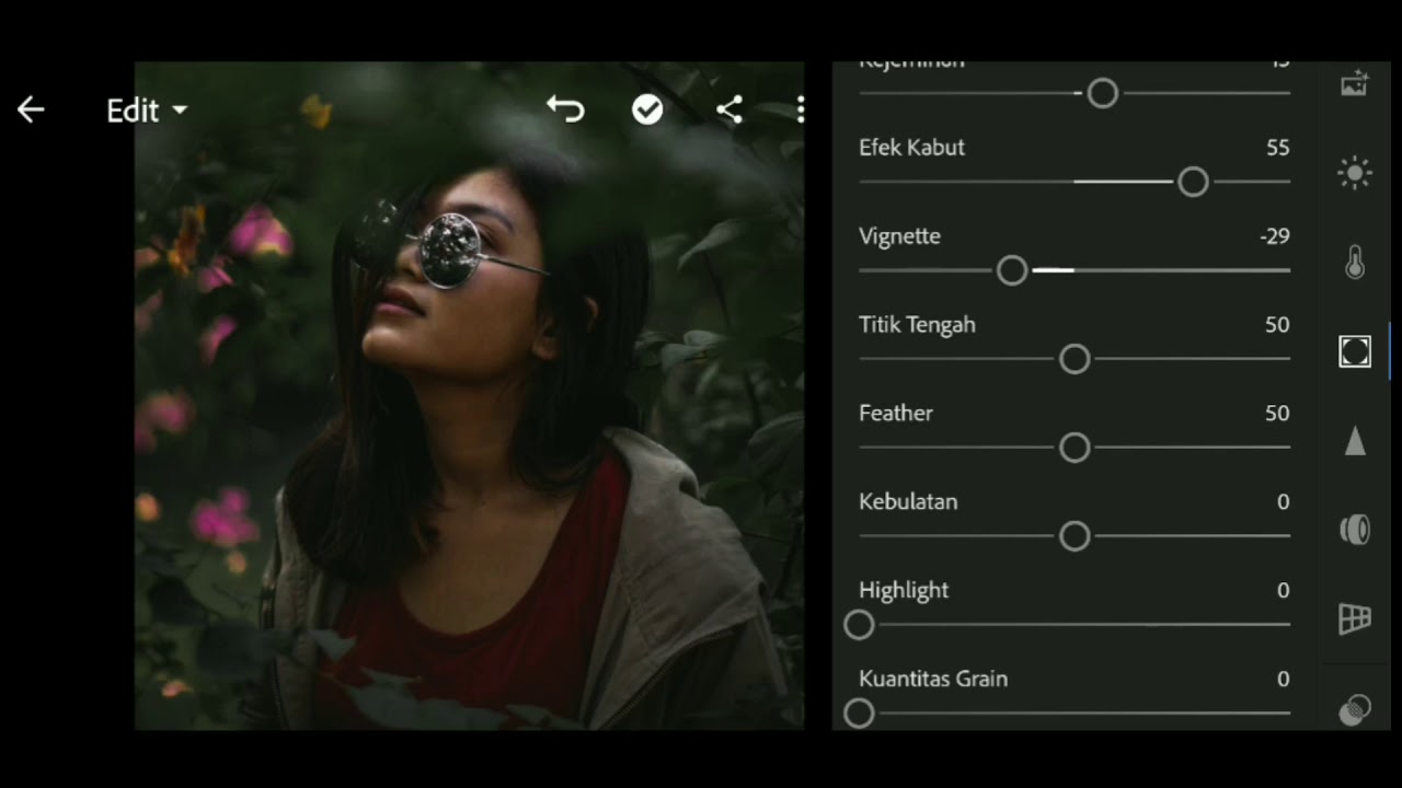 cara import preset lightroom android di hp